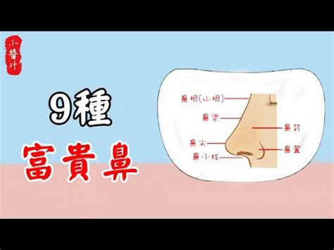 鼻子面向|【鼻子 面向】5種註定好命的鼻型有事業 